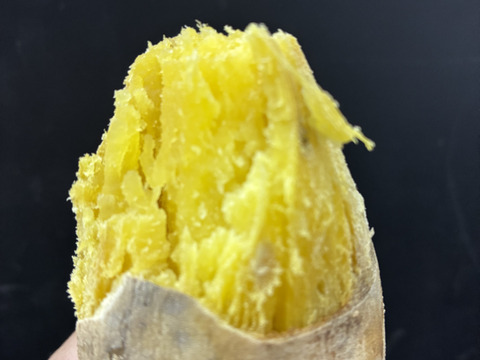 白いさつまいも！希少新品種きみまろこ2㎏