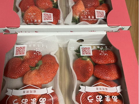 あまおう サイズ色々！270ｇ×4パック　たっぷり1080ｇSP