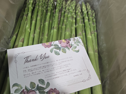 【受賞記念特別価格🎊】【やや太め1kg】那須塩原産アスパラ｜じゅわっと感じる奥深い甘み！｜Lサイズ｜特別価格は5/20まで！