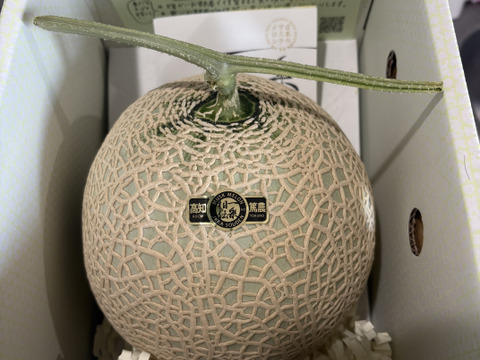 限定価格！【メガBIG！！】1玉箱入り高糖度マスクメロン
