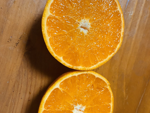 【農薬不使用】柑橘の王様せとか５ｋｇーサンプル糖度１２～１３度