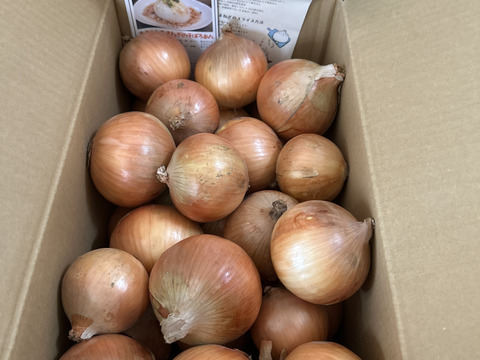 【10kg】淡路島産たまねぎ 特別栽培 兵庫県認証食品 ひょうご安心ブランド 特別栽培 あさひサンファーム ご家庭用 南あわじ市 淡路島産たまねぎ レシピ付き！