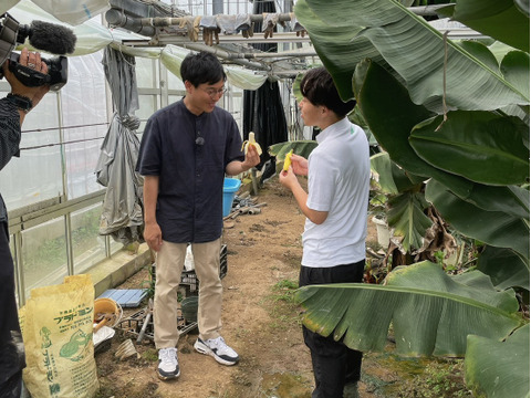 【NHK・中京テレビで紹介】伊良湖温泉バナナ（冷凍）1kg