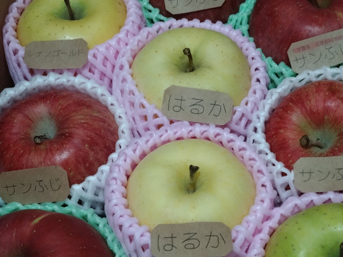 ☆農薬不使用りんご☆と特別栽培りんご(品種おまかせ)詰め合わせ3キロ（８〜１２玉）