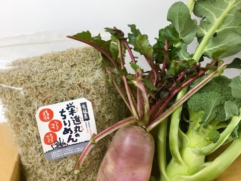 食べチョク満喫 漁師も農家もお魚お野菜セットのちりめん500g 野菜日替わり2、3点