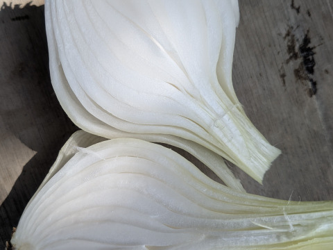 【玄海丸】皮むき玉ねぎ　福岡産　4.9kg