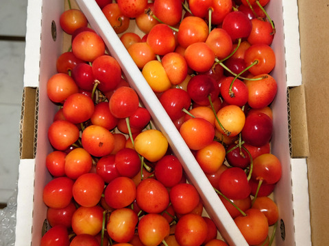 【紅秀峰】家庭用1kgバラ詰め♪たっぷり大満足の食べ応え✨