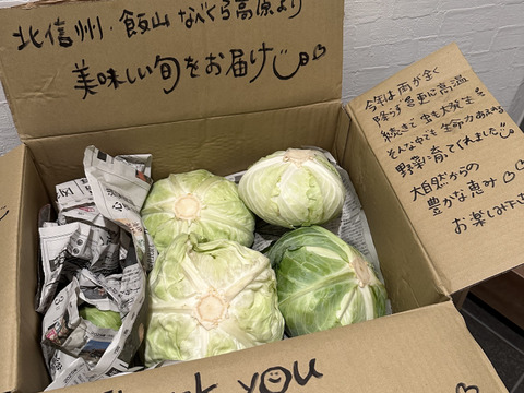 柔らかくあまーいキャベツ&シャキシャキ白菜セット！100サイズに入るだけ!（10kg以内）