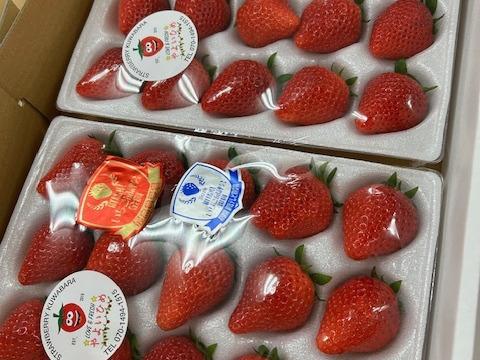 ⭐︎土耕栽培【最高金賞受賞含む全賞受賞】やよいひめ贈答用ダブル（約400g×2）