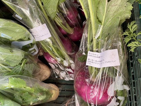 富士山麓！自然栽培の冬野菜たち10品+白米2ｋｇ