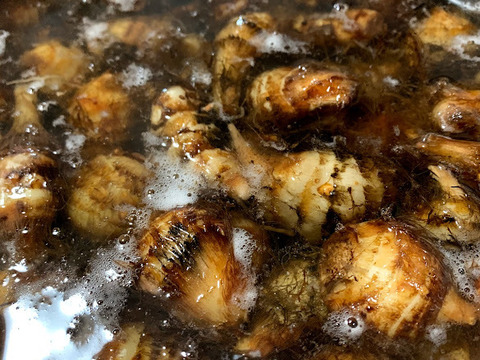 ぷりぷりむけるちいさな海老芋　京都伝統野菜　こえびちゃん1K