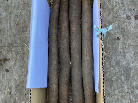 贈答としてもオススメ！皮ごと長芋！