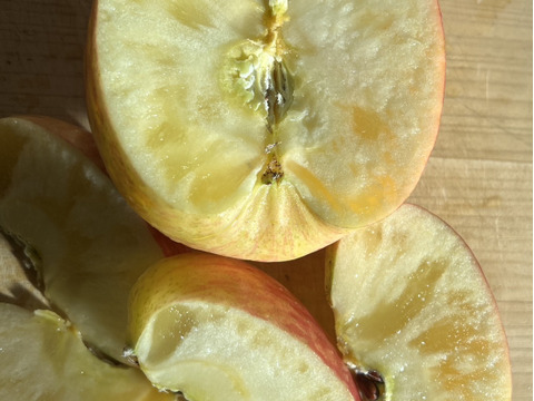 スーパーなどには滅多に並ばない冬採りプレミアム‼︎今年も完熟の証【いぼりりんご】が仕上がりました◎青森県産蜜入り葉取らずサンふじ３キロ　大玉中玉9個〜11個詰め