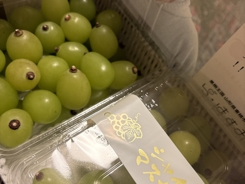 パリパリ食感★大粒シャインマスカット★ご家庭用（500ｇ×２パック入り）1000ｇ