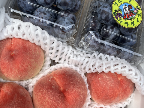 【お中元】国産生プルーンと桃の詰め合わせ3kg箱