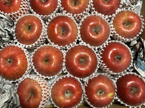 「あずみ野産サンふじ」約5kg入り　安曇野がりんごに託した思いを御賞味下さい。甘味からの酸味最高です。