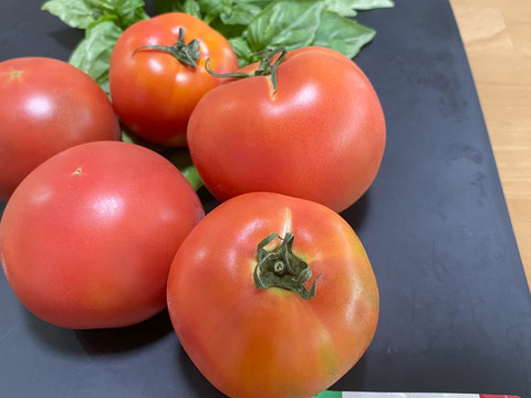 【甘みと酸味のバランスが抜群！】味の濃い京都産トマト　お試し1kgセット（10玉前後）