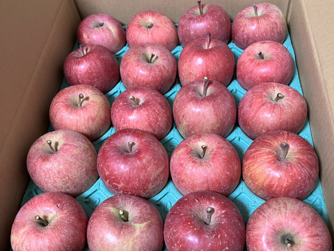 山形産　完熟　ふじりんご　５㌔　２０玉