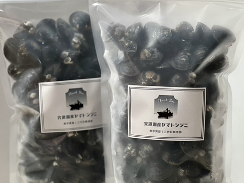 【夏バテ予防】宍道湖産ヤマトシジミ・冷凍2kg（お任せサイズ）