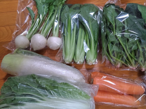 【未来をつくる笑み野菜】宮崎県産☆季節のお野菜セットM(8～9品程度)☆