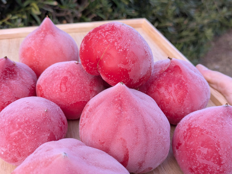 【冷凍】完熟ファーストトマト　たっぷり2.2kg！