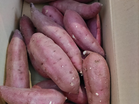 茂賀屋のさつま芋