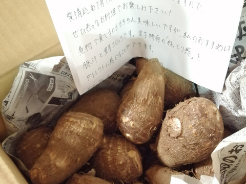 ⚠️数量限定⚠️『黒いダイヤ』高級料亭で出される里芋の味をご家庭で！生産量トップクラスの所沢から送る絶品里芋！芽なしという訳ありですが、農家のみぞ知る絶品です。 3kg（18〜24個入り）