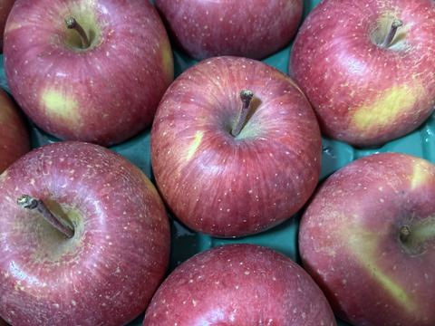 小傷 小玉サンふじ 5キロ箱 20玉 長野県産