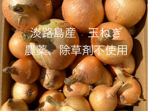 農薬、除草剤不使用！淡路島玉ねぎ8.5kg ペコロス1.5kg 計10kg