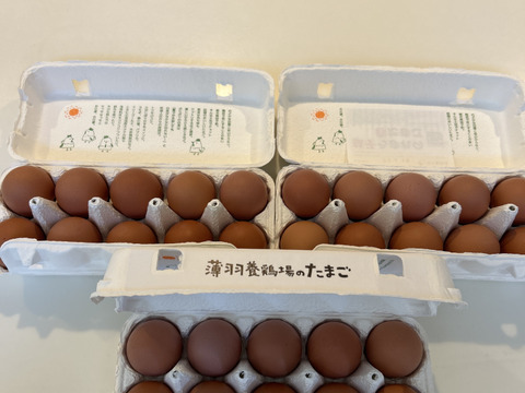 ★当店人気No.1★【枯草菌・30個】オレンジ色が鮮やか🎵濃厚な黄身🍳、枯草菌育ちの赤たまご 30個