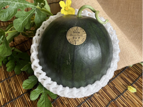 小玉スイカだけどビッグサイズ!
【化学肥料不使用】シャリっとジュワッと、小玉スイカひとりじめボンボンリッチ1玉入り（約4~5kg前後）