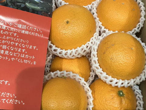【秀品】清見 4kg 果汁たっぷり香りよし♡愛媛みかん！！
