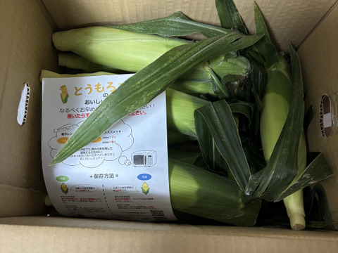 【ご家庭用・訳あり奉仕品】おおもの3kg　糖度20度前後にもなる激甘スーパースイートコーン！！