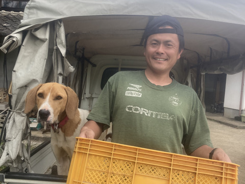 甘みが強いホクホク食感！【キタアカリ】３kg