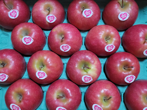 キュンとくる酸味りんご❗　ピンクレディー®（12個から16個）箱含め3キロ