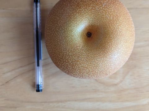 豊水呉羽梨贈答用5ｋｇ