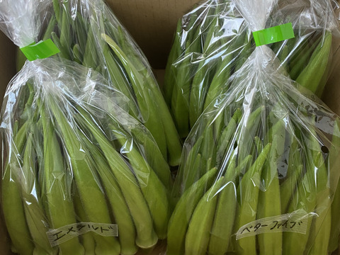 【朝どれ】オクラ 2〜4品種セット1kg【栽培期間中　化学肥料化学農薬不使用】