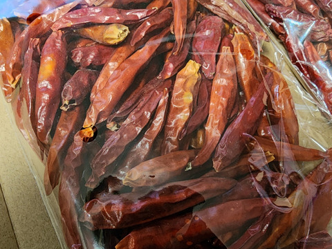 農家自慢の香り豊かな栃木県産　乾燥赤唐辛子 新物  150g以上 お入れしてお送りします。約300本以上入ります。