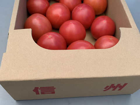 限定セット　トマトB品、はじき品（約2kg）