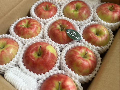 【人気品種】サンジョナゴールド🍎約3キロ 8〜11玉《家庭用》ID164802