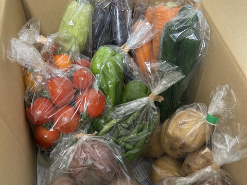 Lサイズ ＊旬野菜セット(約10~11品)【農薬：栽培期間中不使用】