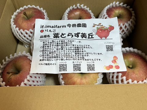 あどはだりしてまる！ふじと世界一が生んだ奇跡。葉取らずりんご美丘家庭用3kg