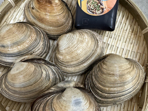 豪華貝類バーベキューセット