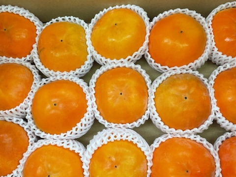 柿の王道！富有柿　５キロ　豊作祭り柿のドライフルーツ小袋おまけ付き