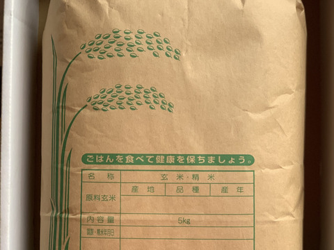 ⭐️熊本県産 お米5kg【品種:森のくまさん】