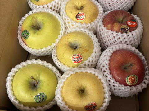 🍎🍏人気の3種🍎🍏定番ふじ・人気のぐんま・貴重なはるか　美味しい3種ミックス🍎贈答用３キロ【冬ギフト】