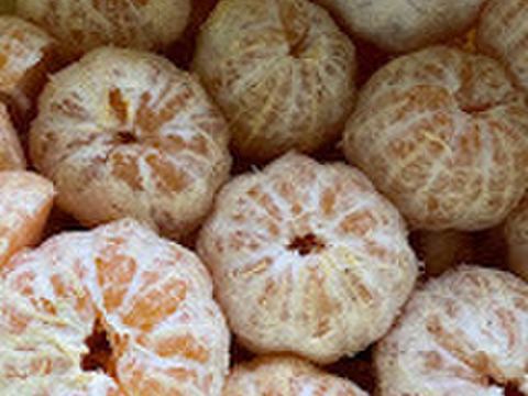 【超希少高級】丸ごとギュッと凝縮！濃厚な伊予柑ネクター“贈答・720ml”