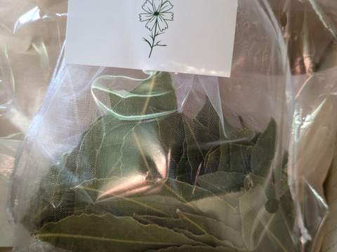 ローリエ月桂樹の生葉または乾燥葉 30枚🌿ハーブ🌿オーガンジーの袋入り♪ シチュー等のお料理に ハーブティーに お風呂に リースやスワッグの材料に☆自然栽培🏣ゆうパック