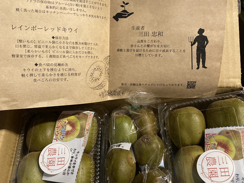 【もうすぐ終了】希少品種！極甘🥝レインボーレッド🥝２ｋｇ大玉
三田農園 贅沢な果実シリーズ