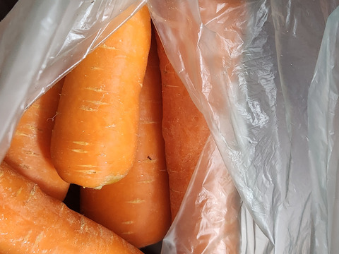 農薬不使用栽培人参3kg　岡山県産